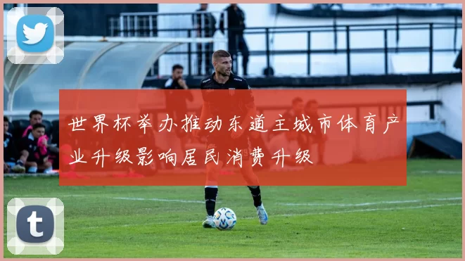 世界杯举办推动东道主城市体育产业升级影响居民消费升级