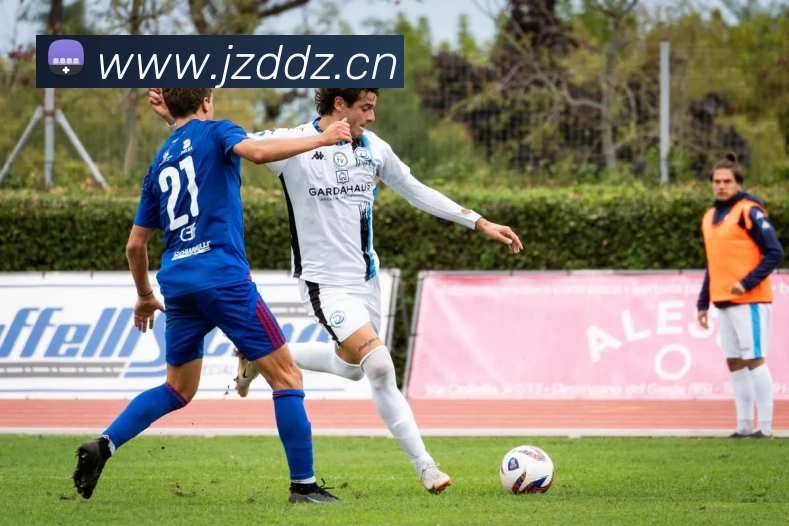 Z6·尊龙凯时「中国区」官方网站平台生态图